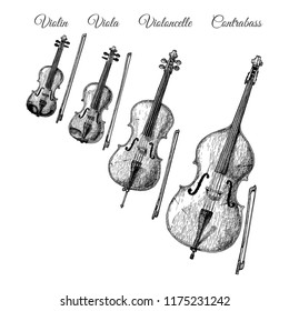 Vector hand drawn illustration of Bowed string instruments in vintage engraved style. Violin, Viola, Violoncello (Cello) and Contrabass (Double bass)