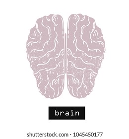 Vector hand drawn illustration. Brain. Idea for poster, postcard, design.