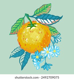Vector hand drawn illustration of branches orange tree with fruit, leaves and flowers. Illustrations of bright ripe citrus fruit in the style of pencils sketch