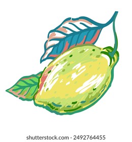 Vector dibujado a mano ilustración de ramas de limonero con fruta, hojas y flores. Ilustraciones de cítricos maduros brillantes en el estilo de boceto de lápices