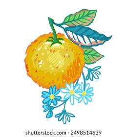 Vector hand drawn illustration of branches orange tree with fruit, flowers and leaves. Sketch of bright ripe citrus fruit for package design