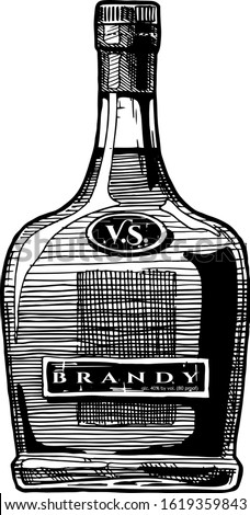 Vector hand drawn illustration of brandy bottle. Isolated on white background