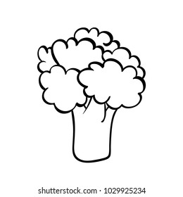 Vector hand drawn illustration of a broccoli.  Outline doodle icon. Food sketch for print, web, mobile and infographics. Isolated on white background element.