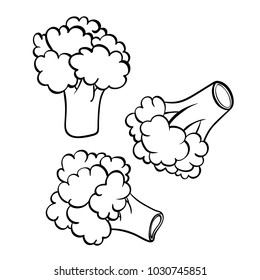 Vector hand drawn illustration of broccoli. Outline doodle icon. Food sketch for print, web, mobile and infographics. Isolated on white background element. Set
