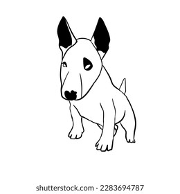 Vector hand drawn illustration of bull terrier, line art