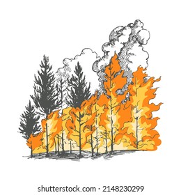 Vector hand drawn illustration with burning forest. Sketch with wildfire. Trees on fire.