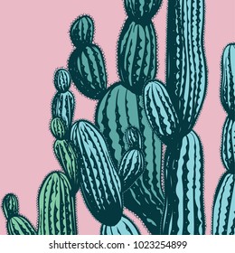 Vector hand drawn illustration with cactus, engraving style. 
