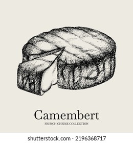 Vector hand drawn illustration of Camembert cheese. Template for card, poster, banner, print for t-shirt.