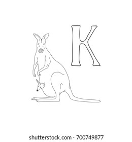 Vector hand drawn illustration capital letter K on alphabet card. Black and white realistic kangaroo isolated. Kids ABC, school education. Coloring page for children.
