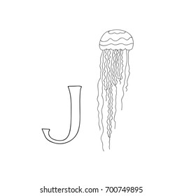 Vector hand drawn illustration capital letter J on alphabet card. Black and white realistic jellyfish isolated. Kids ABC, school education. Coloring page for children.