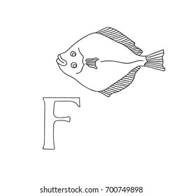 Vector hand drawn illustration capital letter F on alphabet card. Black and white realistic flatfish isolated. Kids ABC, school education. Coloring page for children.