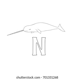 Vector hand drawn illustration capital letter N on alphabet card. Black and white realistic narwhal isolated. Kids ABC, school education. Coloring page for children.