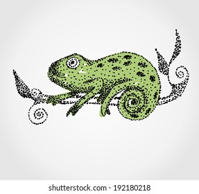 Vector hand drawn illustration with cartoon Chameleon