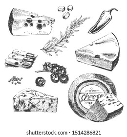 vector hand drawn illustration of cheese platter. sketch of parmigiano, cheddar, blue cheese, edam, rosemary and tomato. flat lay ink doodle of dairy products. restaurant design template
