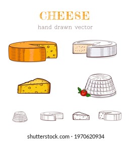 Vector hand drawn illustration of cheese types . Colored and outlines. Isolated on white