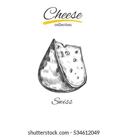 Vector hand drawn  illustration of cheese .Isolated on white