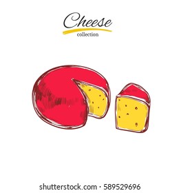  Vector hand drawn  illustration of cheese  . Colorful. Isolated on white