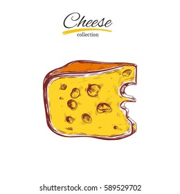  Vector hand drawn  illustration of cheese  . Colorful. Isolated on white