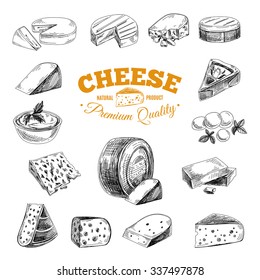 Vector hand drawn illustration with cheeses . Sketch.