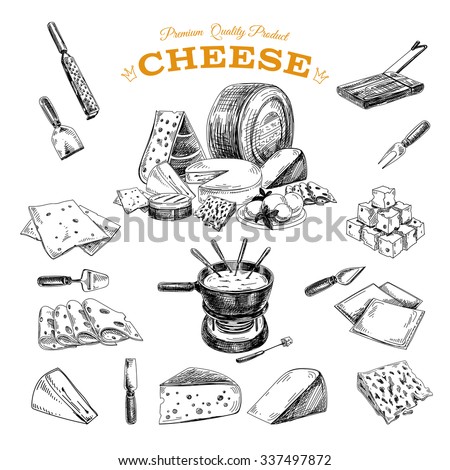 Vector hand drawn illustration with cheeses . Sketch.