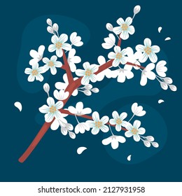 Ilustración dibujada a mano vectorial con rama de flor de cerezo al estilo de caricatura plana aislada en azul. Fondo de primavera con flores florecientes de sakura blanca.Diseño botánico para tarjetas de felicitación, afiches, volantes