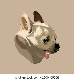 Vector hand drawn illustration of Chihuahua with tongue isolated. Creative artwork. Template for card, poster. banner, print for t-shirt, pin, badge, patch.