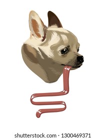 Vector hand drawn illustration of Chihuahua with tongue isolated. Creative surrealistic artwork. Template for card, poster. banner, print for t-shirt, pin, badge, patch.