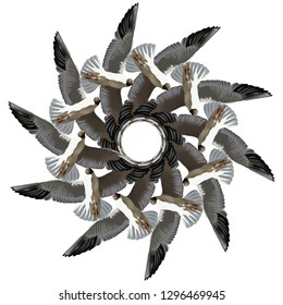 Vector hand drawn illustration of circle of seagulls isolated. Creative tattoo artwork. Template for card, poster. banner, print for t-shirt, pin, badge, patch.