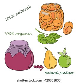 Vector hand drawn illustration of conservation apricot, apple, pear