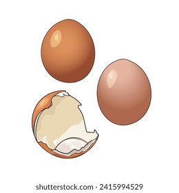 Vector Hand drawn illustration of a contour, set of eggs, whole and broken chicken eggs. Blank for designer, logo, icon, label. Isolated on a white background