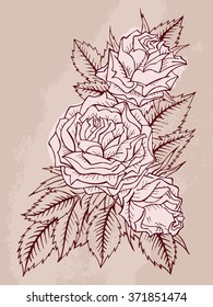 Vector hand drawn illustration with contour of roses flowers on textured background. In beige colors.
