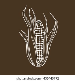 Vector hand drawn illustration of corn on dark background