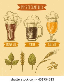 Vector  hand drawn illustration of crafting beer types in different  glasses and mugs, including ingredients: hops and barley.
