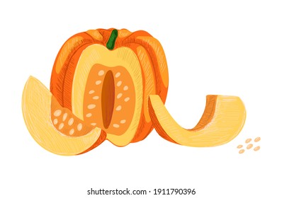 Ilustración dibujada a mano por vectores con calabaza cortada con rodajas y semillas. Verduras, concepto de agricultura alimentaria 