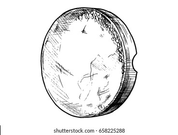 Vector hand drawn illustration of daf (large Persian frame drum) in vintage engraved style. isolated on white background.