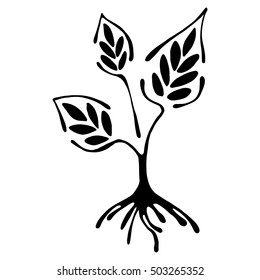 Vector hand drawn illustration, decorative ornamental stylized tree. Black and white graphic illustration isolated on the white background. Inc drawing silhouette. Decorative artistic ornamental wood