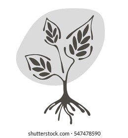Vector hand drawn illustration, decorative ornamental stylized tree.  Grey graphic illustration isolated on the white background. Hand drawing silhouette. Decorative artistic abstract branch.