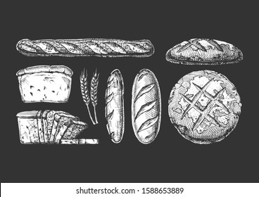 Vector hand drawn illustration of different breads: wheat germ, long loaf, pan loaf (sliced), baguette and boule. Isolated on black background.  