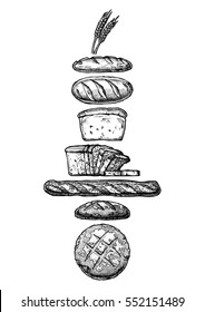 Vector hand drawn illustration of different breads: wheat germ, long loaf, pan loaf (sliced), baguette and boule. Black and white, isolated on white.