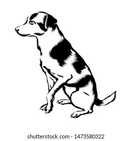 Vector hand drawn illustration of dog isolated. Creative tattoo artwork. Template for card, poster. banner, print for t-shirt, pin, badge, patch.