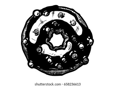 Vector hand drawn illustration of donut in vintage engraved style. isolated on white background.