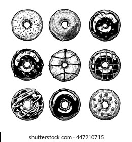 Vector hand drawn illustration of donuts set. Dessert.