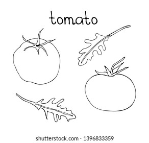 Vector hand drawn illustration with doodle tomato and rucola. Black linear art of vegetarian food. 