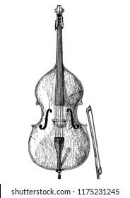 Vector hand drawn illustration of double bass in vintage engraved style. Isolated on white background.