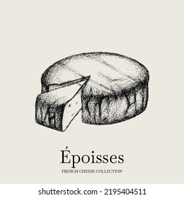 Vector hand drawn illustration of Epoisses cheese. Template for card, poster, banner, print for t-shirt.