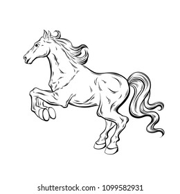 Vector hand drawn illustration of  expressive horse isolated. Tattoo artwork. Template for card, poster, banner, print for t-shirt, label.