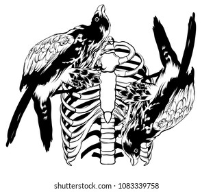 Vector hand drawn illustration of falcon and ribs. Surreal tattoo artwork  Template for card, poster, banner, print for t-shirt, placard. 