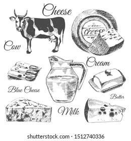 vector hand drawn illustration of farm dairy products. sketch of cow, cheese, cream, milk, butter. flat lay ink doodle of organic lactose food.
restaurant design template.
