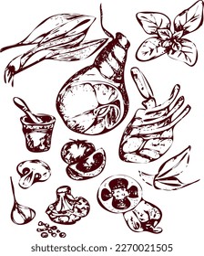 Ilustración de vectores a mano con productos agrícolas, ilustración de alimentos vectoriales de la carne y el conjunto de especias, carne de cocina.Estilo de esbozo.