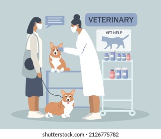 ilustración dibujada a mano vectorial en forma plana sobre el tema de la clínica veterinaria. veterinario examinando perro corgi